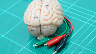 Why DIY Brain Stimulation Is a Really Dumb Idea